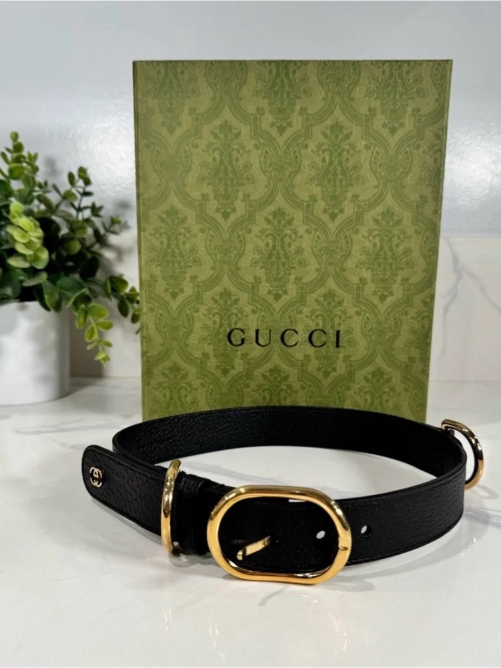 Authentic NEW Beautiful Black Leather Gucci Dog Collar w/ box Size XL